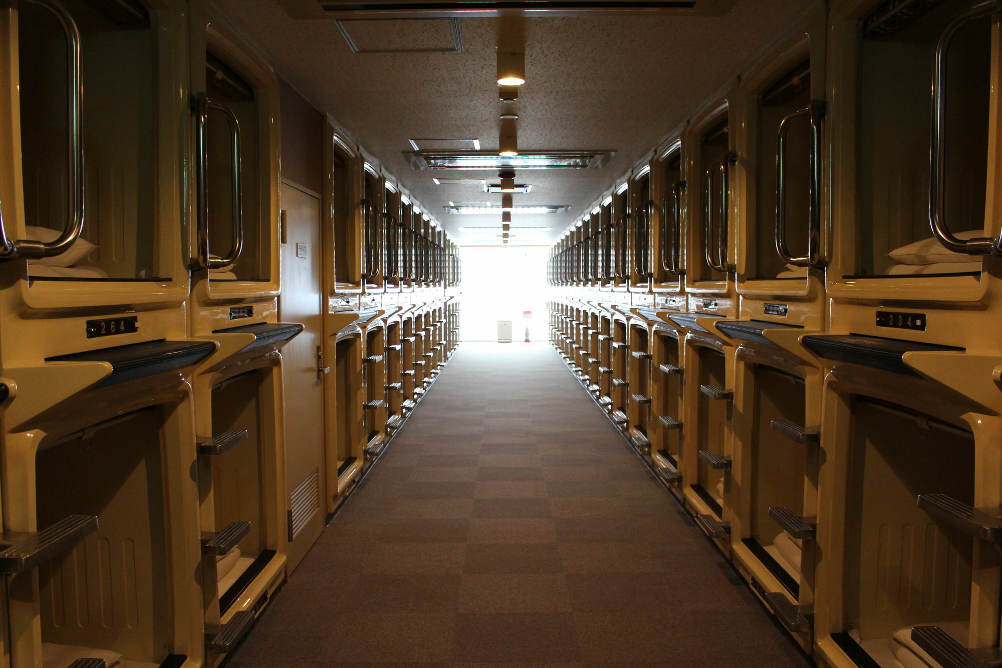 Sauna & Capsule Hokuo 2*